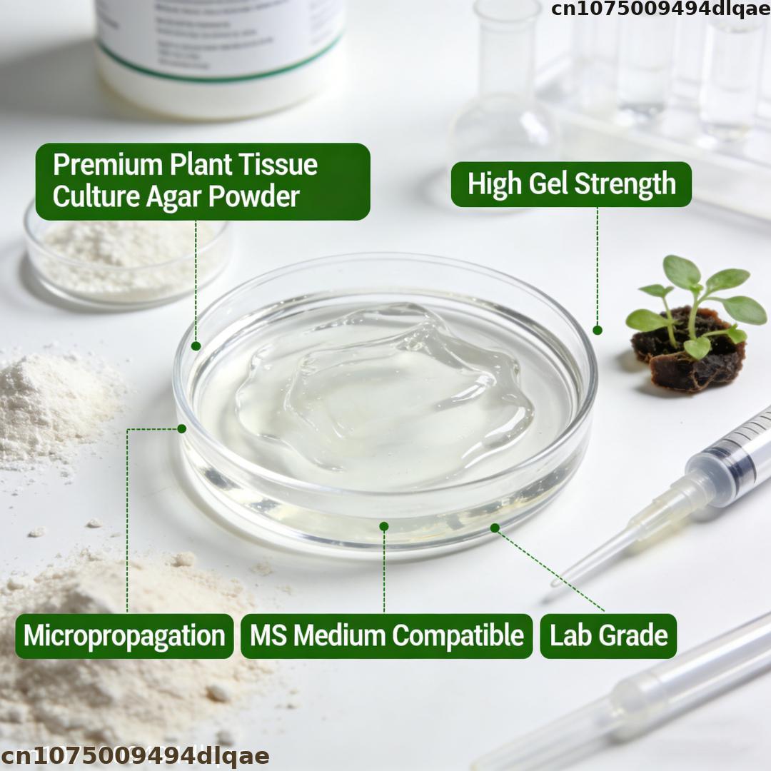 Pflanzengewebekultur-Agarpulve – Agar Tissue Culture Bewertung und Preis