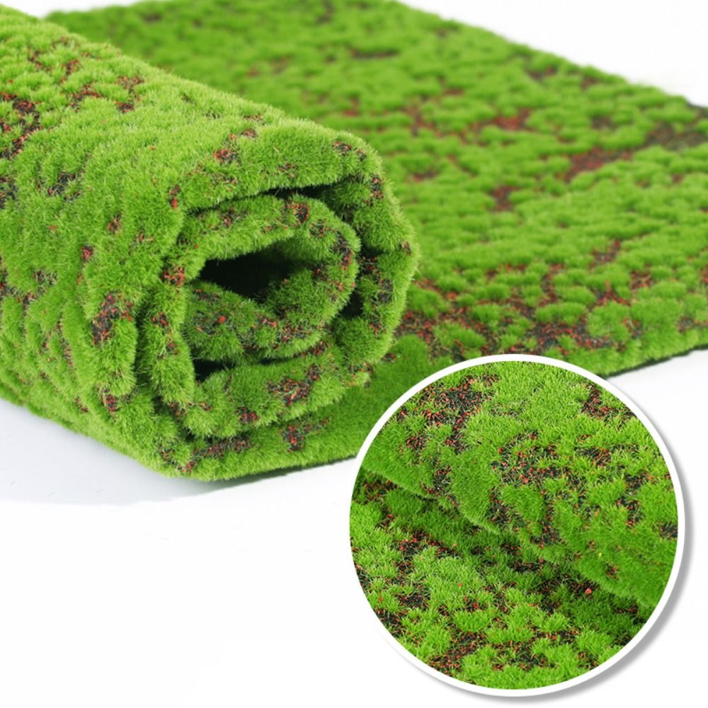 DIY Künstliches Moos Grasrasen – Sphagnum Moss Dry Bewertung und Preis