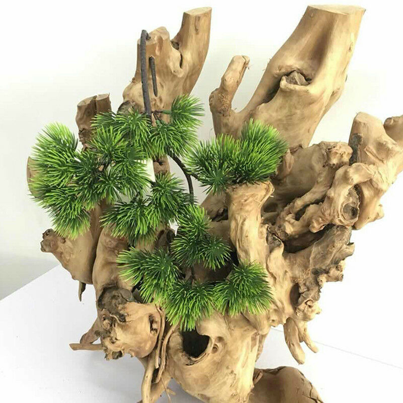 42 cm Künstliche Pflanze Kiefe – Sphagnum Moss Dry Bewertung und Preis