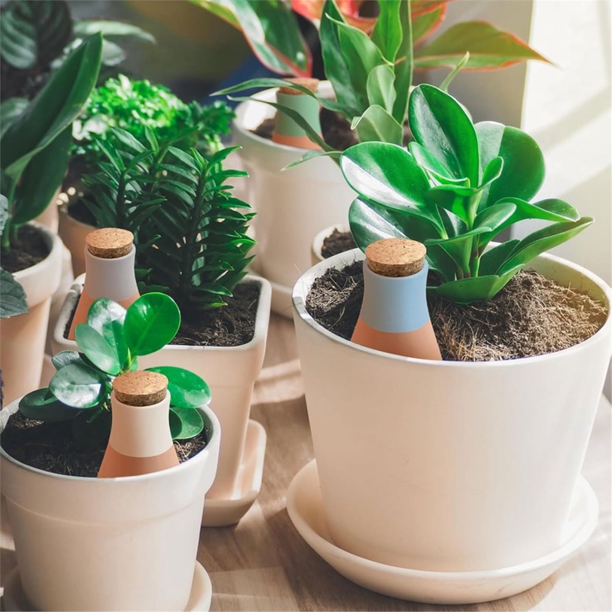 A20I 4 Stück Terrakotta-Bewäss – Self Watering Insert Bewertung und Preis